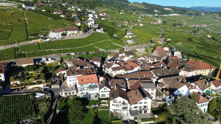 JuriUp - Gérer une servitude non déclarée pour vendre sa villa en Suisse 4 JuriUp - Estimation immobliere Grandvaux village 4 scaled